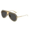 Dolce & Gabbana DG 2309 (02/87)