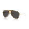 Dolce & Gabbana DG 2309 (02/87)