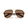 Dolce & Gabbana DG 2315 (02/73)