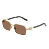 Dolce & Gabbana DG 2316 (02/73)