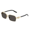 Dolce & Gabbana DG 2316 (02/87)