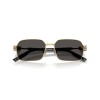Dolce & Gabbana DG 2316 (02/87)