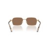 Dolce & Gabbana DG 2316 (488/73)