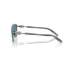 Dolce & Gabbana DG 2336 (04/80)