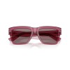 Dolce & Gabbana DG 4431 (32117N)