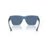 Dolce & Gabbana DG 4431 (339880)
