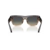 Dolce & Gabbana DG 4484 (348411)