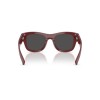 Dolce & Gabbana DG 4509 (309187)