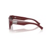 Dolce & Gabbana DG 4509 (309187)