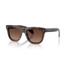 Moncler Bronzz ME 6023 (3002T5)