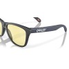 Oakley Frogskins OO 9013 (9013L4)