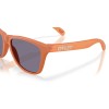 Oakley Frogskins OO 9013 (9013M1)