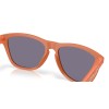 Oakley Frogskins OO 9013 (9013M1)