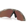 Oakley Radar EV Path OO 9208 (9208F6)