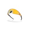 Oakley Ellipse Polaris Collection OO 9490 (949008)
