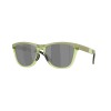 Oakley Frogskins Range XL OO 9503 (950307)