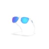 Oakley Frogskins S OO 9508 (950801)