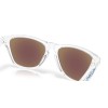 Oakley Frogskins S OO 9508 (950801)