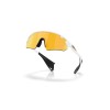 Oakley Stunt Devil A OO 9525 (952508)