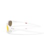 Oakley Terraforma OO 9530 (953003)