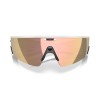 Oakley Meta AI Glasses Vanguard OW 8001 (800108)
