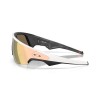Oakley Meta AI Glasses Vanguard OW 8001 (800108)