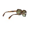 Persol PO 0581S (1122A6)