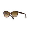 Persol PO 0582S (112151)