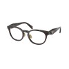 Prada PR B06VD (17N1O1)