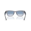 Ray-Ban Mega Wayfarer II RB 0832S (68463F)
