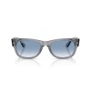 Ray-Ban Mega Wayfarer II RB 0832S (68463F)