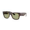 Ray-Ban Mega Wayfarer RB 0840S (902/4E)