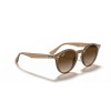 Ray-Ban RB 2180 (616613)