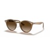 Ray-Ban RB 2180 (616613)