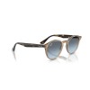 Ray-Ban RB 2180 (6788V1)