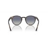 Ray-Ban RB 2180 (710/4L)