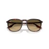 Ray-Ban RB 2203 (14290A)