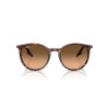 Ray-Ban RB 2204 (14293B)