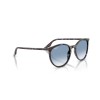 Ray-Ban RB 2204 (14303F)
