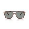 Ray-Ban RB 2213CH (1423O9)