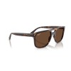 Ray-Ban RB 2213CH (902/AN)