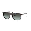 Ray-Ban RB 2216 (1430GK)