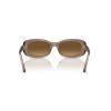 Ray-Ban RB 2221 (6827M2)