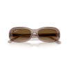 Ray-Ban RB 2221 (6827M2)