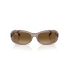Ray-Ban RB 2221 (6827M2)