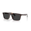 Ray-Ban RB 2222 (902/48)