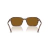 Ray-Ban Raimond RB 2231 (141833)