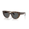Ray-Ban Doreen RB 2286 (1292B1)