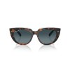 Ray-Ban Doreen RB 2286 (1413S3)
