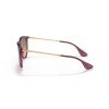 Ray-Ban Erika RB 4171 (659114)
